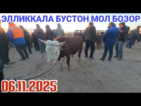 Видео: 6 ноября 2025 ЭЛЛИККАЛА БУСТОН МОЛ БОЗОР НАРХЛАР НИМА БУЛДИ