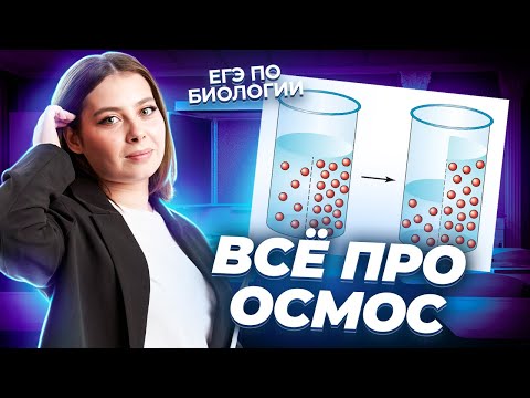 Видео: ОСМОС: самая популярная тема на ЕГЭ по Биологии  I Умскул
