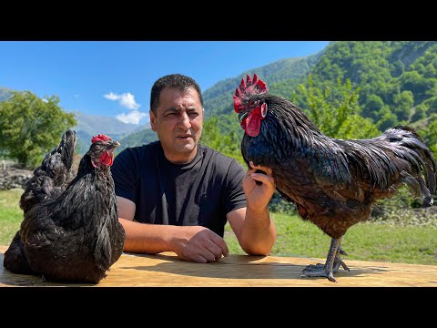 Видео: Приготовил КУРИЦУ так, что Мясо само Отходит от Кости! Жизнь вдали от города