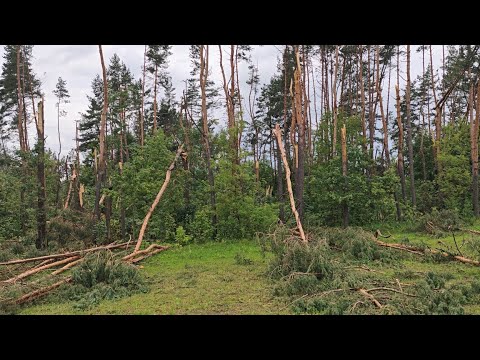 Видео: ПОСЛЕДСТВИЯ УРАГАНА от 10 июля по состоянию на 18 июля 2025