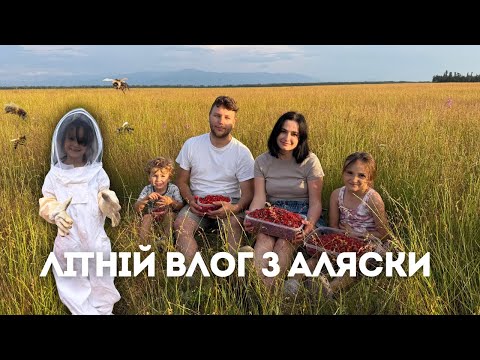 Видео: ЗБИРАЄМО МЕД та СУНИЦЮ на зиму на Алясці: літній врожай 🍯