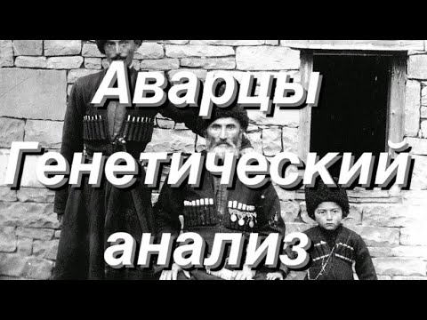 Видео: Аварцы - генетический анализ (Аутосомные данные)