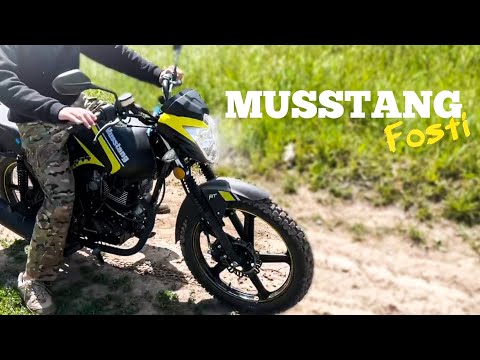 Видео: 🔥Обзор Musstang Fosti 150 /// ИДЕАЛЬНЫЙ МОТОЦИКЛ, ДЛЯ НАЧИНАЮЩЕГО!!!