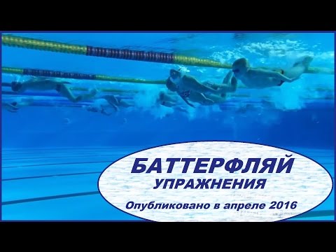 Видео: БАТТЕРФЛЯЙ - упражнения