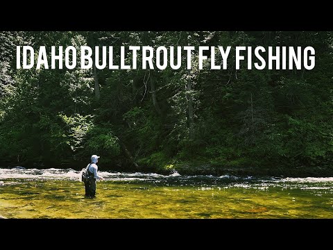 Видео: Ловля одной из самых НЕУЛОВИМЫХ рыб Айдахо | Ловля бычьей форели нахлыстом