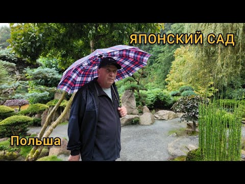 Видео: ЯПОНСКИЙ САД,OGRÓD JAPOŃSKI.Польша.