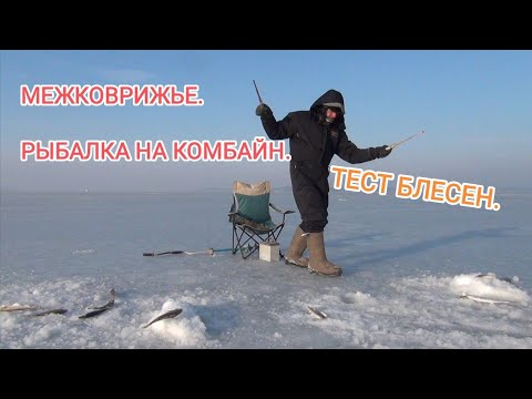 Видео: Рыбалка межковрижье.зимняя рыбалка в Приморье.Рыбалка на навагу в Приморье.зубарь на блесна