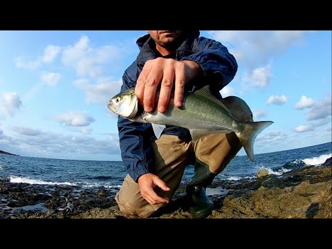 Видео: Риболов на лефер - 28.09.21