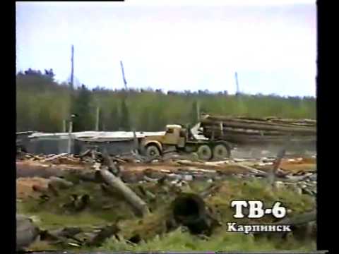 Видео: Сосновка. Карпинского района часть 2