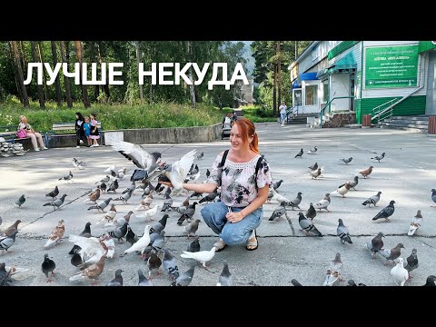 Видео: ЖИВУ В СИБИРИ Лесные Черемушки Хакасия РЕБЕНОК ОСТАЛСЯ ОДИН ДОМА ПЕРВЫЙ РАЗ