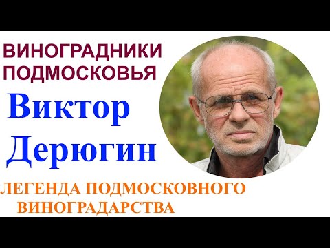 Видео: Подмосковные виноградники или В гостях у Виктора Дерюгина 2021