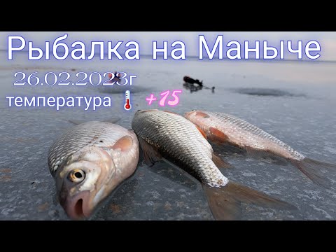 Видео: Рыбалка на Маныче в феврале на льду при температуре воздуха +15 градусов!!!