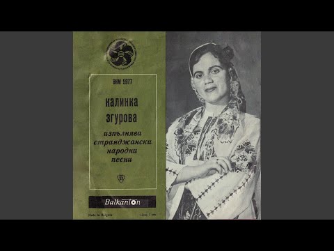 Видео: Кольо на Рада думаше