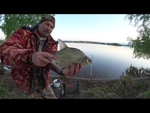 Видео: РЫБАЛКА С НОЧЕВКОЙ НА РЕКЕ НЕЙВА НА ФИДЕР! РАЗВЕДКА НОВОГО МЕСТА! ЛЕЩИК! ШАШЛЫК! РЫБАЛКА НА УРАЛЕ!