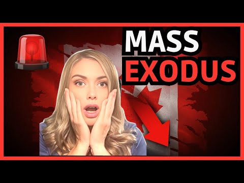 Видео: Большой исход из Канады — Тифф Маклем только что забил тревогу