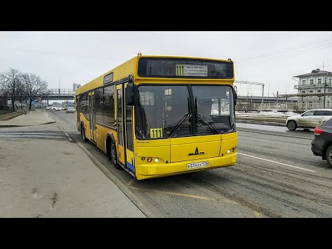 Видео: Автобус, маршрут №111 МАЗ-103.465 б.314 (19.03.2022) Санкт-Петербург