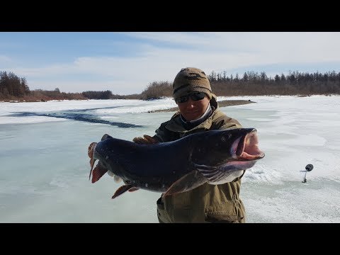 Видео: Приключения ШЕРП в Якутии -рыбалка 2 часть/ Аdventure of Sherp in Yakutia fishing -2 p