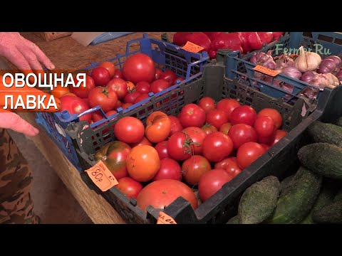 Видео: Фермерская овощная лавка Андрея Никитина
