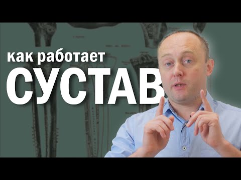 Видео: КАК РАБОТАЕТ СУСТАВ