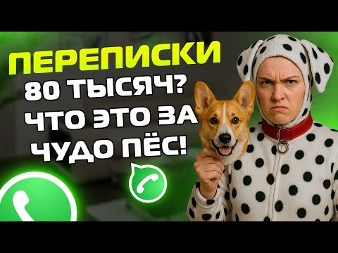 Видео: ПЕРЕПИСКИ ЯжеМать: 80 тысяч? ЧТО ЭТО ЗА ЧУДО ПЁС?