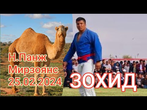 Видео: Гуштин Дар Мирзоянс /Зохид