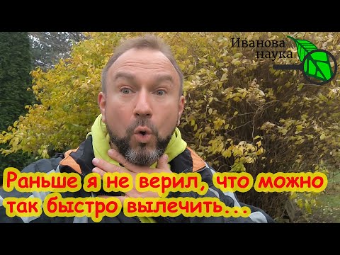 Видео: ВЫПИЛ 1 ГЛОТОК И БОЛЬ ПРОШЛА! Вот как я делаю чай с ГВОЗДИКОЙ от боли и воспаления.