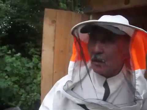 Видео: Метод Цебро. Александр ЯКУТ ч 1
