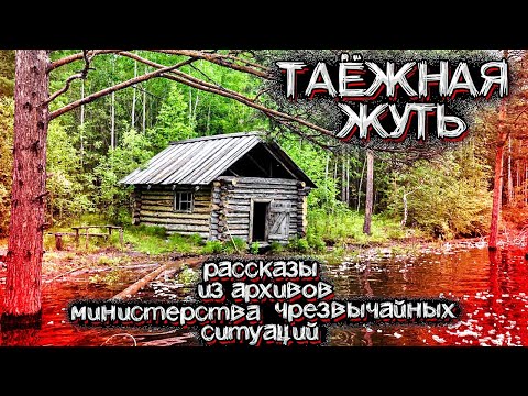 Видео: Ужасы ТАЙГИ. Рассказы из Архивов Спасателей МЧС | Мистические Страшные Истории на ночь