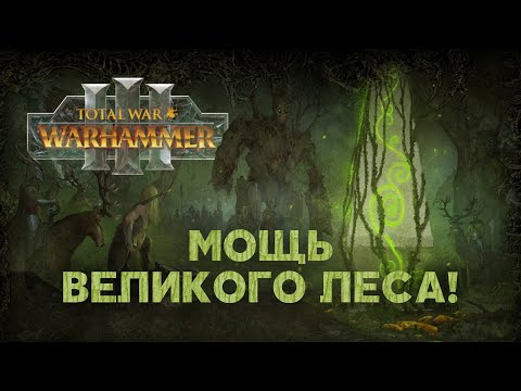 Видео: Лесные Эльфы. Фракции Total War Warhammer 3