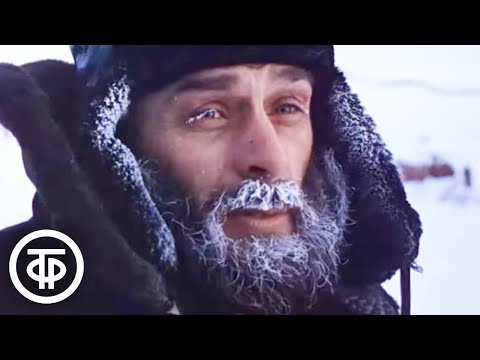 Видео: Полярники. Документальный фильм (1980)