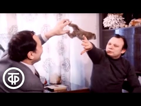 Видео: В мире животных с Николаем Дроздовым. Редкие животные, живущие в квартире. Эфир 12 мая 1984
