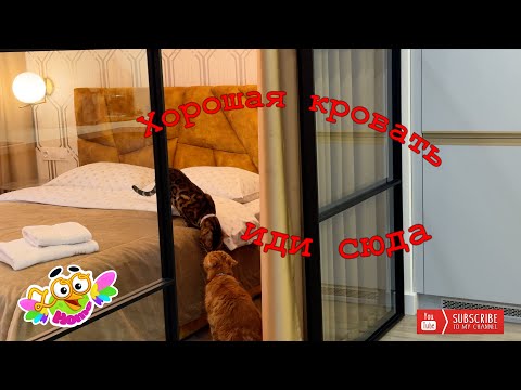 Видео: The renovation was made to order for the Turkish ambassador. Ремонт сделан  для турецкого посла.