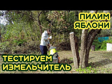 Видео: Было чисто... пока мы не спилили яблони. Проверка садового измельчителя