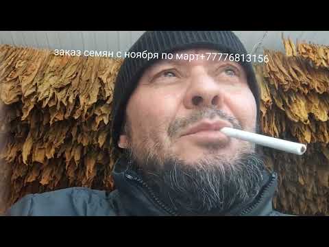 Видео: Ее Величество - Virginia