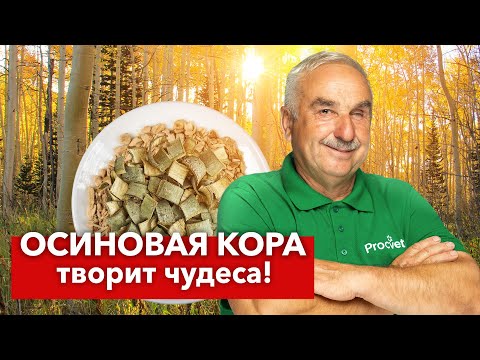 Видео: Зачем агроном собирает ОСИНОВУЮ КОРУ И ВЕТКИ круглый год? Польза осины для здоровья, сада и огорода