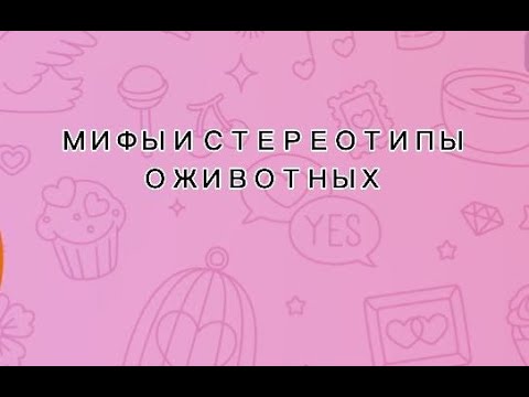 Видео: МИФЫ И СТЕРЕОТИПЫ О ЖИВОТНЫХ/Golden Taya