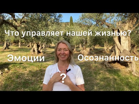 Видео: Что управляет нашей жизнью?