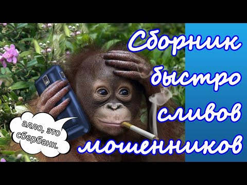 Видео: Подборка быстрых сливов телефонных мошенников от имени Сбера и МТС.