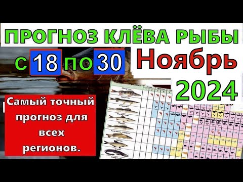 Видео: Прогноз клева рыбы на Эту неделю с 18 по 30 ноября 2024 Лунный Календарь рыбака Лунный прогноз клева