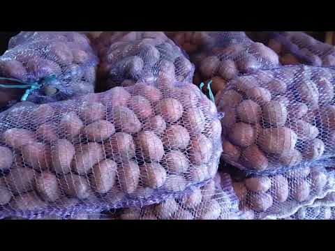 Видео: Заробив на копалку 👍.