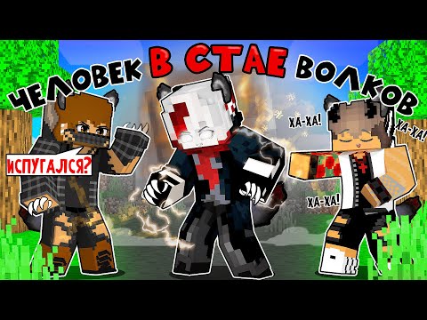 Видео: Они Смеялись Над Ним, а Он Был КОРОЛЕМ ВОЛКОВ в Майнкрафт!