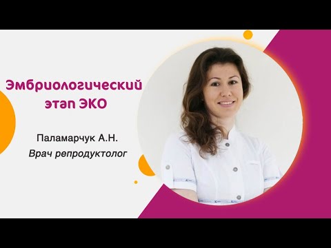 Видео: Эмбриологический этап программы ЭКО: что нужно знать?