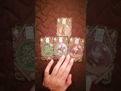 Видео: Подредба Избор от Sefira Hidalgo с Ленорман, 3 позиции, намислете си въпрос!