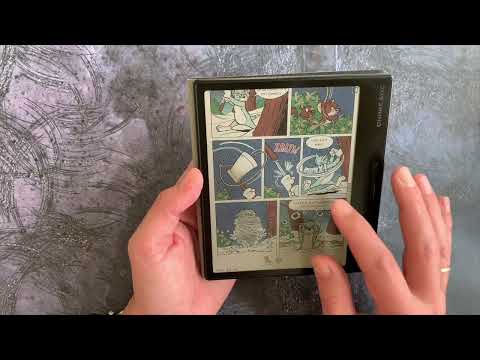 Видео: ОНИКС БУКС Рафаэль 2. Краткий обзор.