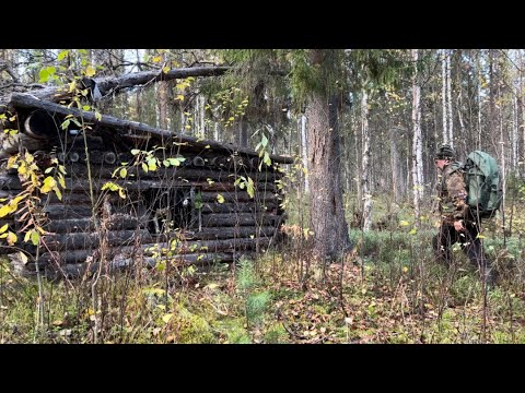 Видео: Шок от увиденного/ Старая таёжная избушка/ Удачный выстрел/ Охотничьи угодья в глухой тайге