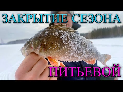 Видео: Закрытие сезона твёрдой воды на ПИТЬЕВОМ. Рефтинское Водохранилище. Крайняя рыбалка этой зимой.