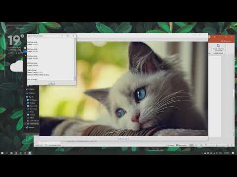 Видео: Основы стеганографии