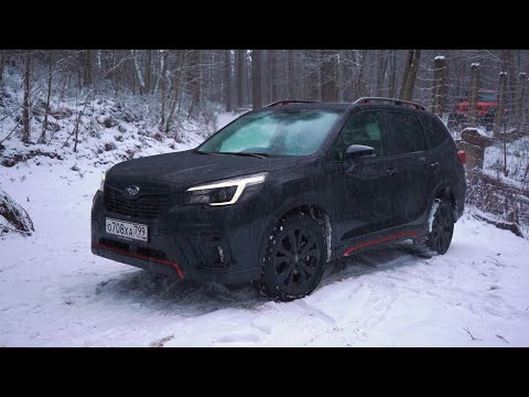 Видео: Новый Subaru Forester Sport на бездорожье