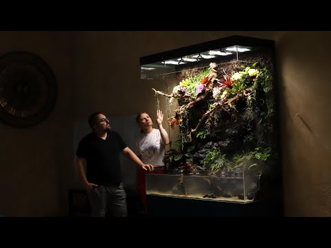 Видео: Открытый палюдариум с водопадом на 1350 литров.