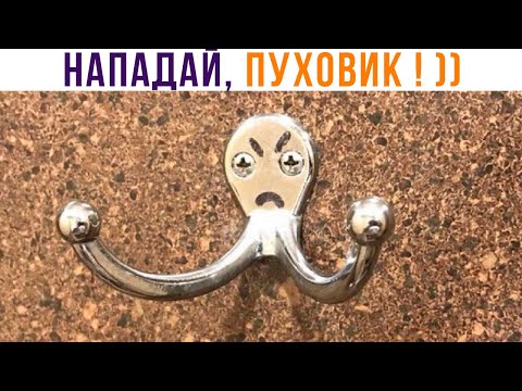 Видео: НУ ДАВАЙ, ПУХОВИК, НАПАДАЙ! ))) | Приколы | Мемозг 1339